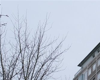 Højhusbebyggelsen 