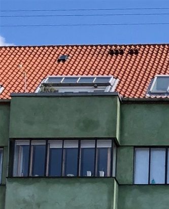 Nordre Fasanvej 82 
Foto: Ditte Thye