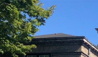 Lindevej 4 og 6
tegnet af arkitekt Henning Wolff
Foto: Ditte Thye