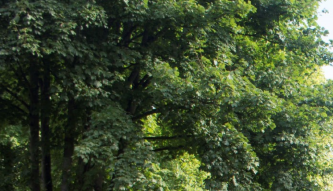 Ludvigsminde, Allégade
Foto: Toke Halskov Kristensen