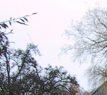 Møstings Hus, Andebakkesti 5
Foto: Ditte Thye
